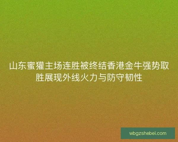 山东蜜獾主场连胜被终结香港金牛强势取胜展现外线火力与防守韧性