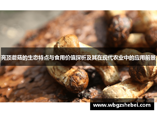 亮顶蘑菇的生态特点与食用价值探析及其在现代农业中的应用前景