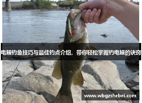 电鳗钓鱼技巧与最佳钓点介绍，带你轻松掌握钓电鳗的诀窍